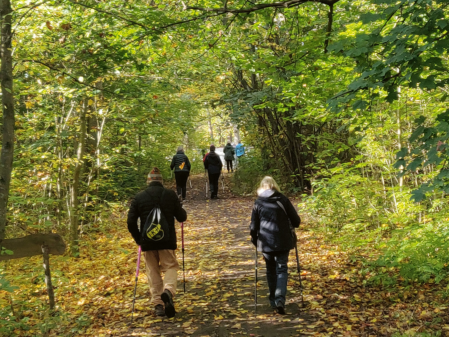 Stavgångsgrupp på Djurgården