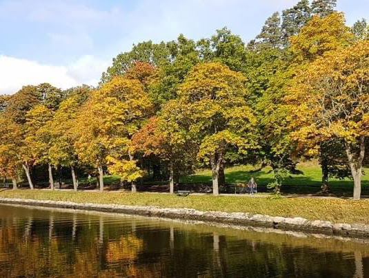 Vandring Djurgården